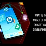 What is the Impact of Bugs on Software Development